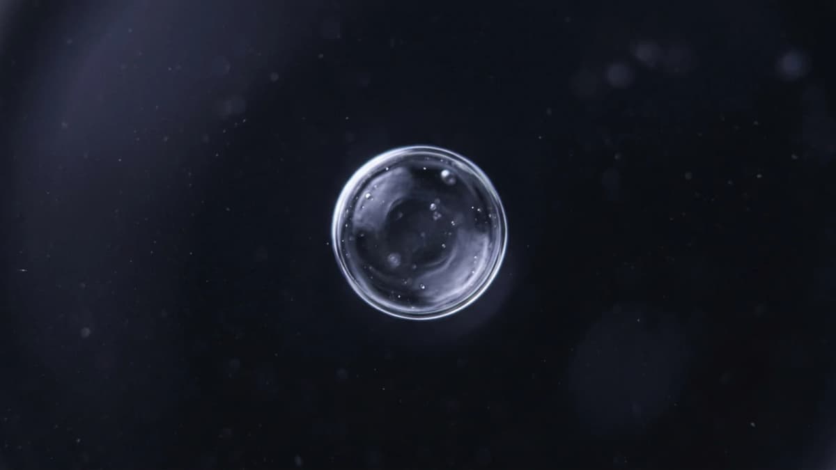 Extreme close-up of a single translucent lipid droplet suspended in dark fluid